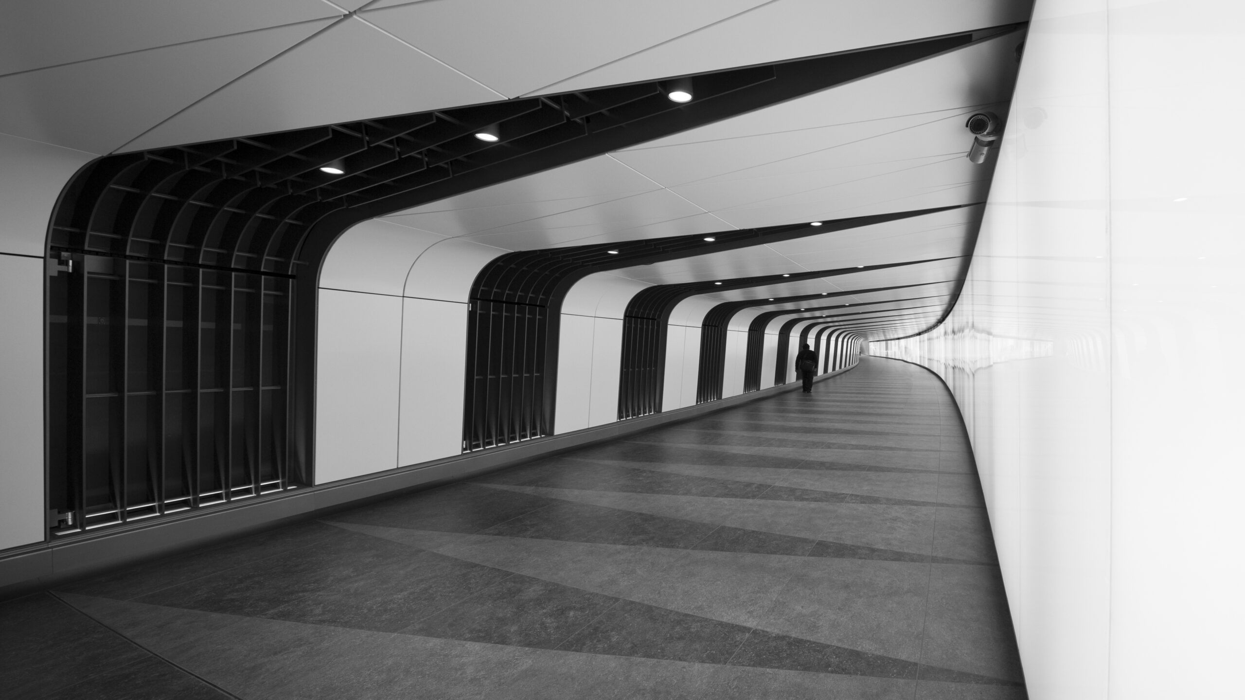study-of-patterns-and-lines-underground-path-aroun-2026-01-11-08-40-10-utc study-of-patterns-and-lines-underground-path-aroun-2026-01-11-08-40-10-utc